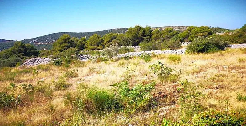 Terreno agricolo Žman, Sali, 1.818m2 – 3