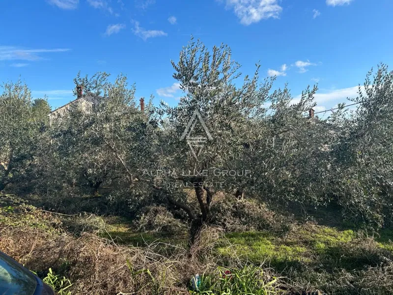 Pula, Istria : Prime Building Land in Veli Vrh – 2