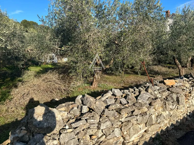 Pula, Istria : Prime Building Land in Veli Vrh – 3