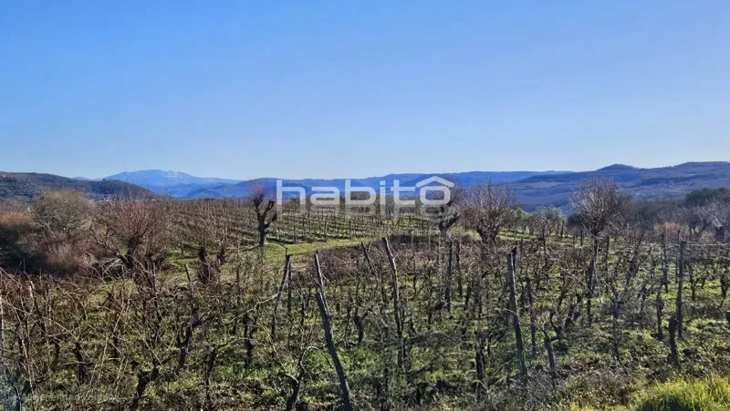 Dom Grožnjan – 3