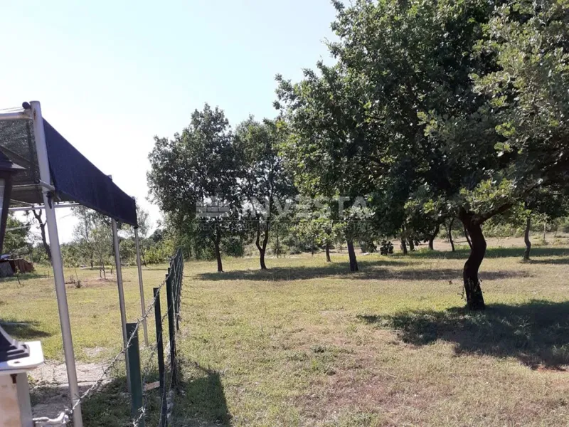 Agricultural land near Barbariga – 2