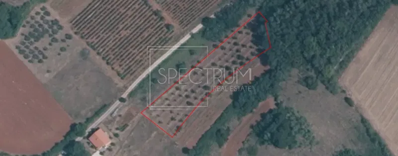 Zona di Visinada, terreno al limite della zona edificabile – 3