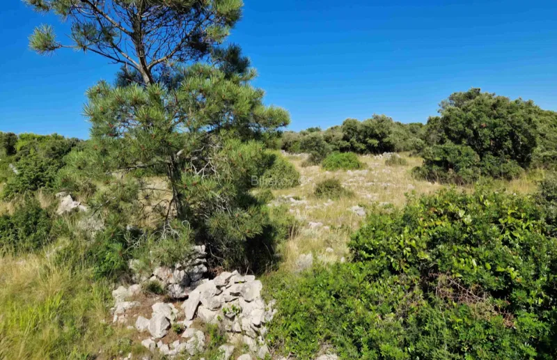 For Sale, Island of Vir, Gajine, Building Land, First Row to the Sea – 2