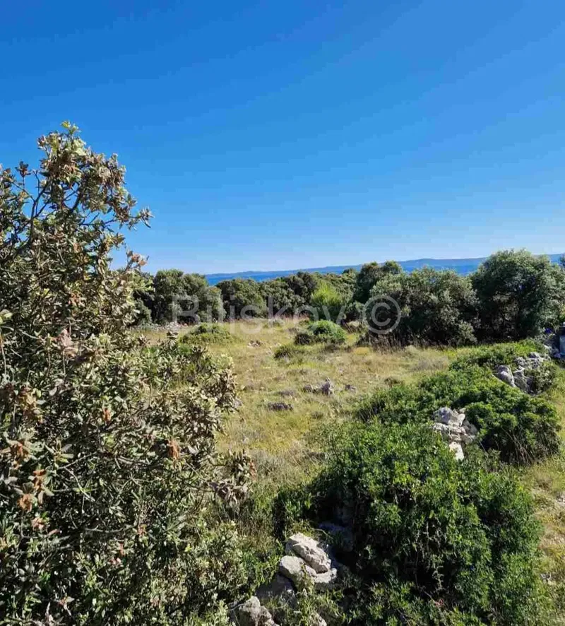 For Sale, Island of Vir, Gajine, Building Land, First Row to the Sea – 3