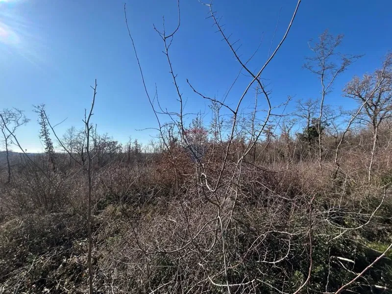 Земельный участок нестроительного назначения Šušnjići, Poreč, 17.353m2 – 3