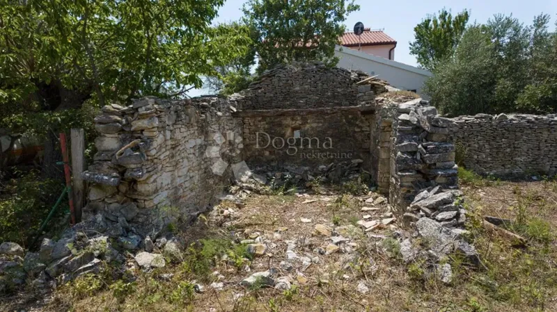 Building land with an olive grove near Vodnjan, Istria – 2