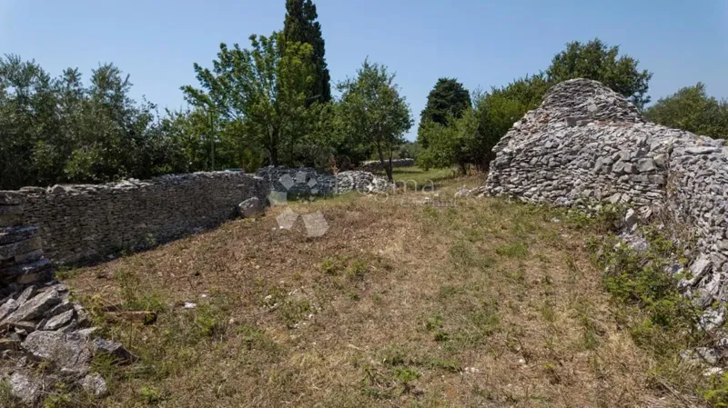 Building land with an olive grove near Vodnjan, Istria – 3