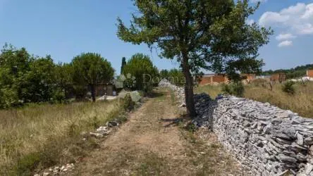 Agricultural land with an olive grove near Vodnjan, Istria – 2