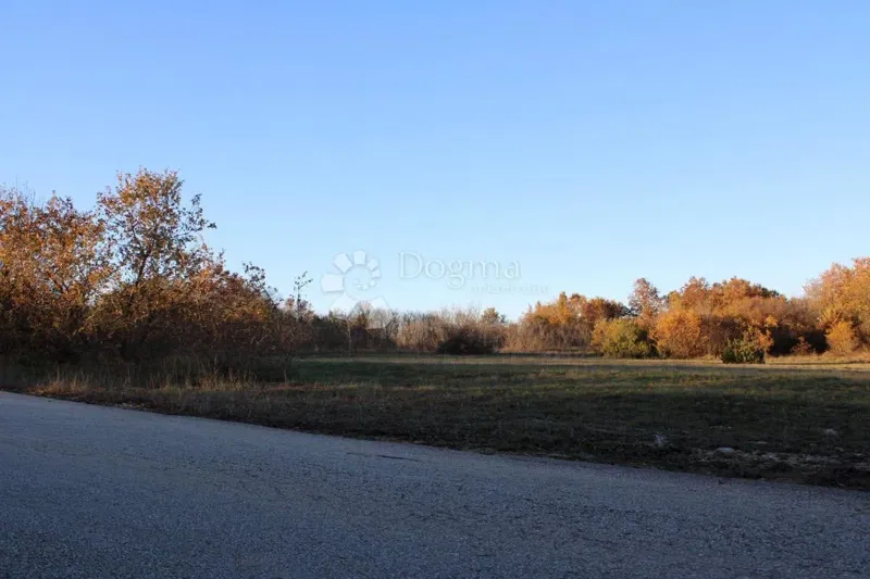 Terreno agricolo Kanfanar, 13.000m2 – 2