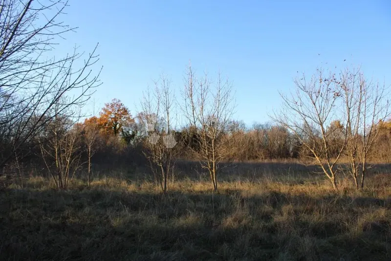 Terreno agricolo Kanfanar, 13.000m2 – 3