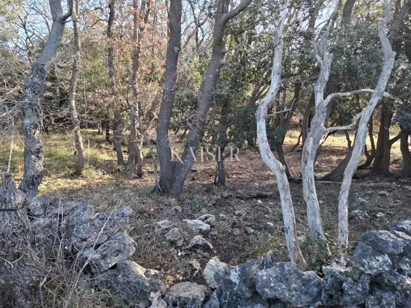 Island of Cres, Belej, agricultural land 12,730 m2 – 2