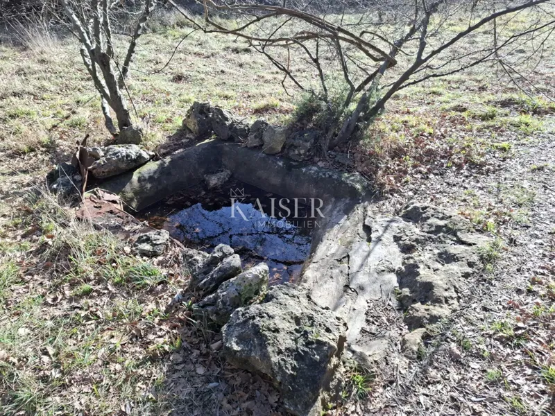 Island of Cres, Belej, agricultural land 12,730 m2 – 3