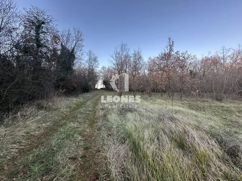 Terreno agricolo a Cittanova – 2