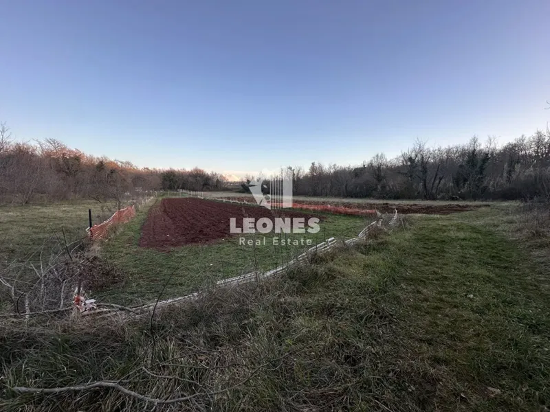 Terreno agricolo a Cittanova – 3