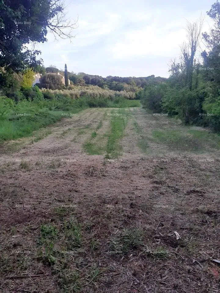 Land for sale in Banjole – 2
