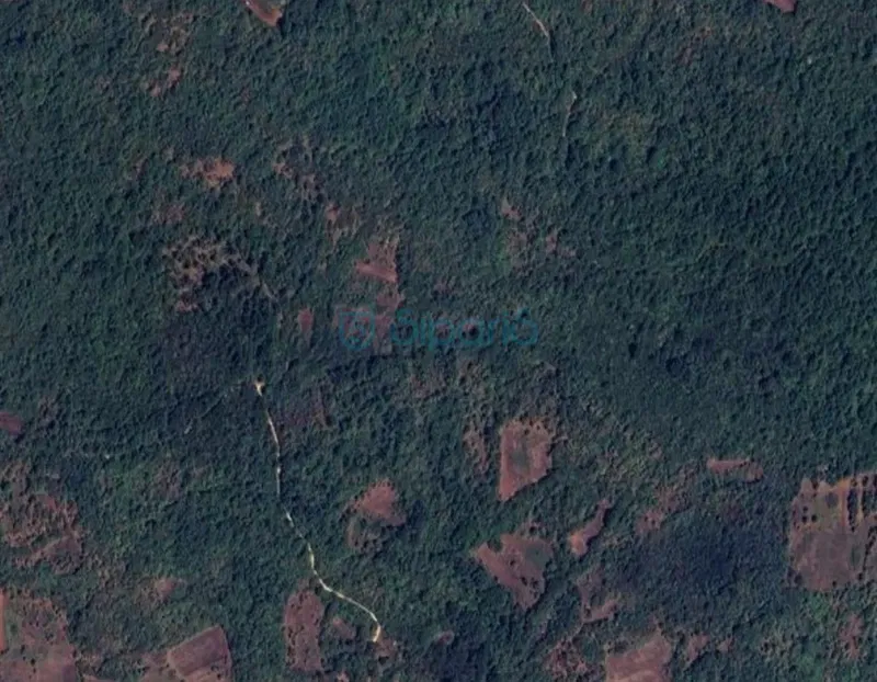 POREČ VELENIKI ŠUMA NA PRODAJI 10973  m2