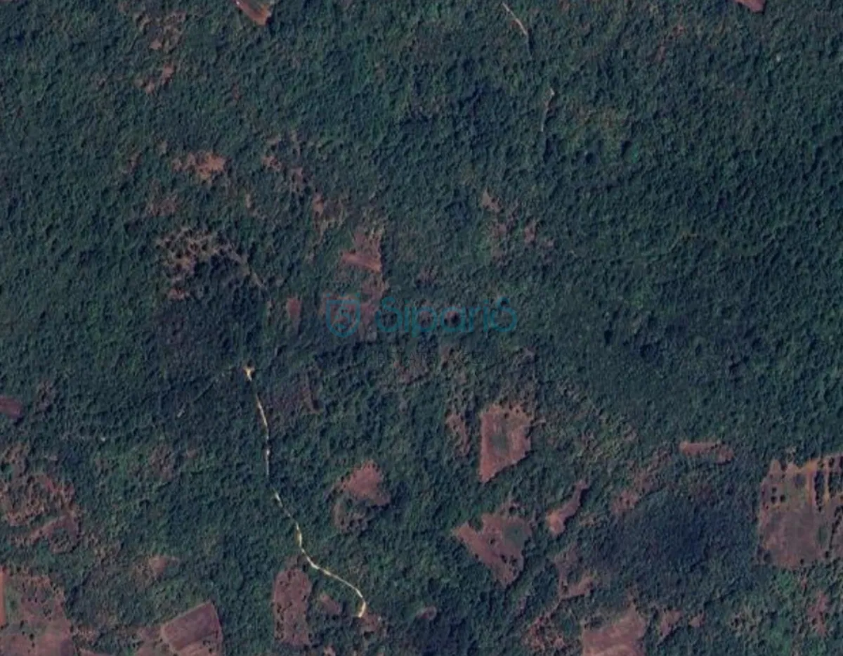 POREČ VELENIKI ŠUMA NA PRODAJI 10973  m2