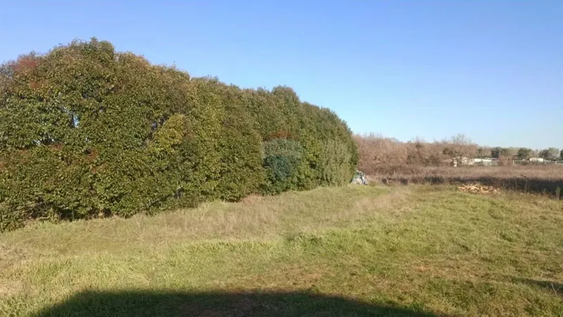 Terreno edificabile Poreč okolica, Poreč, 724m2 – 2
