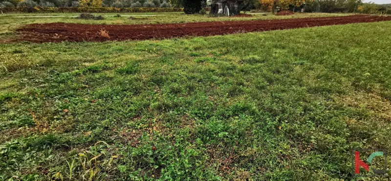 Pula, Busoler, building land 603m2 of the correct format – 3