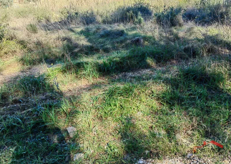 Land Pula – 2