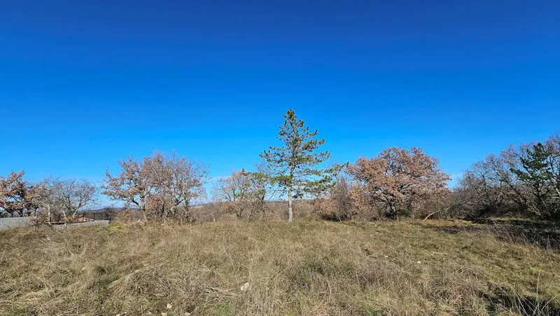 Immobiliare Istria, vendo terreno edificabile, dintorni Buje-Buie – 2