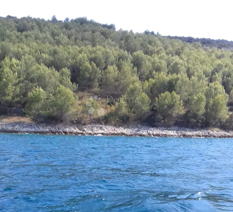 Terreno agricolo Marina, 4.909m2 – 3