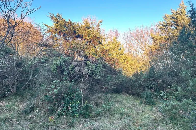 Terreno edificabile Rovinj, 1.035m2 – 3