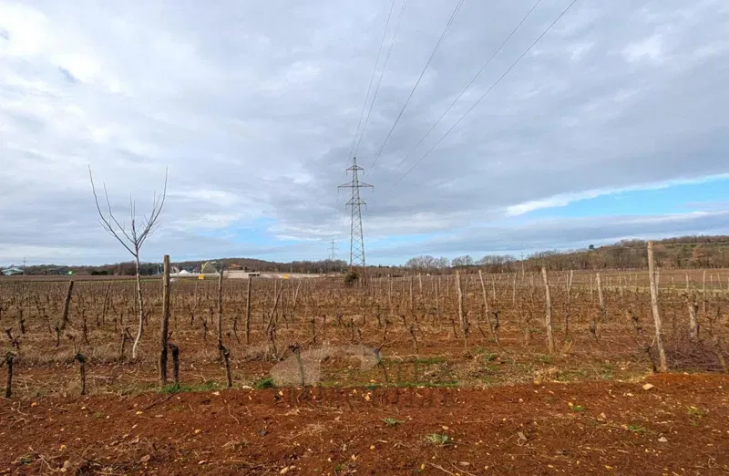 Приусадебный участок Poreč, 26.600m2 – 2