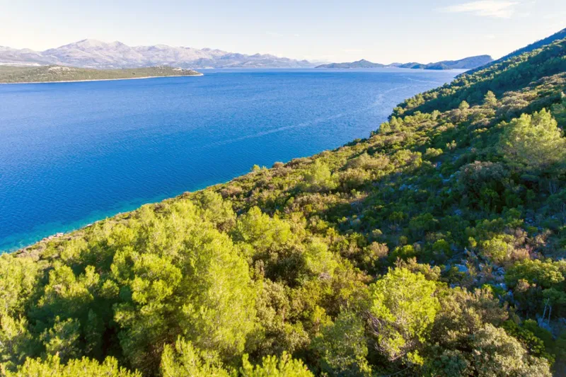 Private Seafront Estate on the Pelješac Peninsula – 3