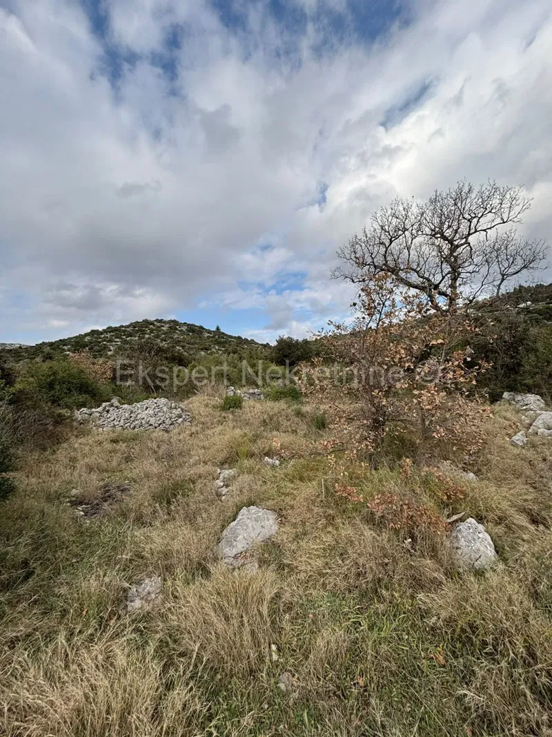 Marina, building plot 1261m2 with construction. with permission, 190m from the sea – 2