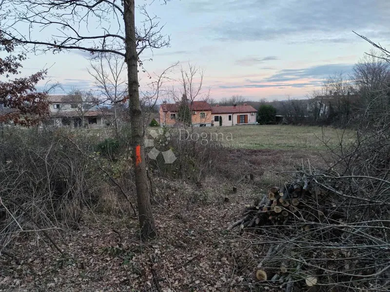 Opportunità eccezionale – 2