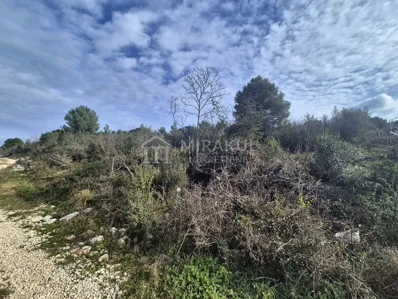 Terreno Bilice – 3
