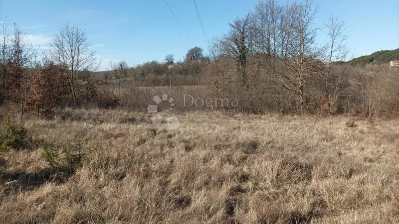 Agricultural land Lindar, Pazin - Okolica, 7.573m2 – 3