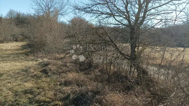 Ziemia rolna Lindar, Pazin - Okolica, 7.573m2 – 3