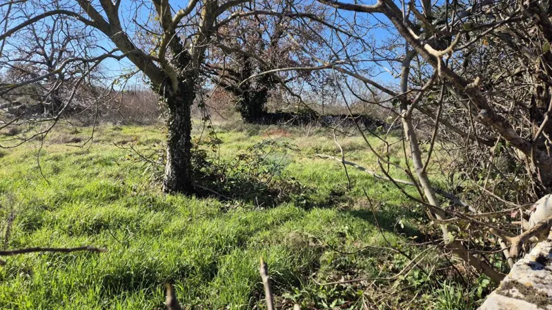 Istria,Rovinj,9km- Sošići building plot – 3