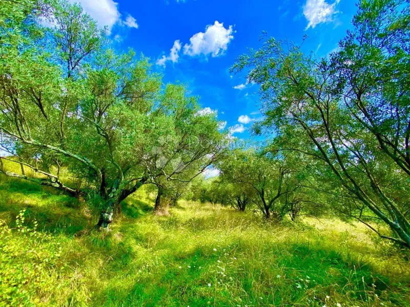 Building land central Istria – 2