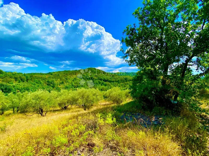 Building land central Istria – 3