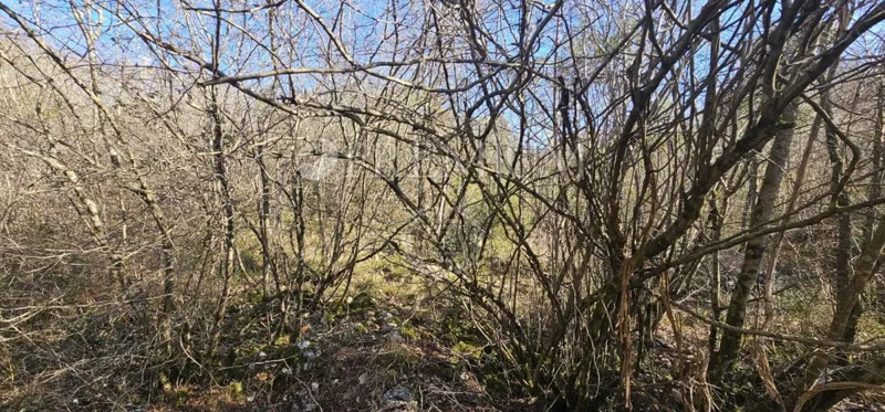 Krk, okolica, poljoprivredno zemljište blizu mora! – 3