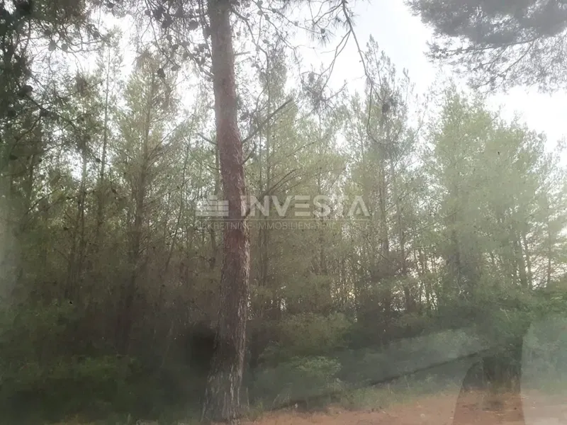 Spacious land, first row to the sea – 2