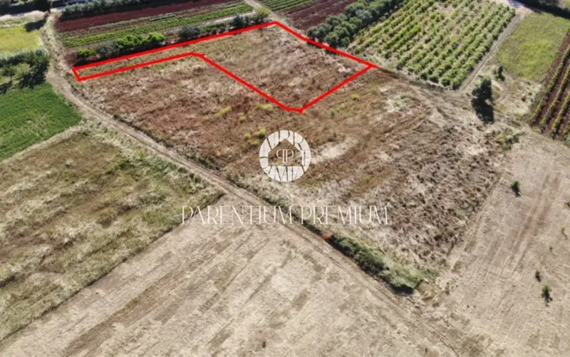 Kaštelir – land with sea view and building permit - for the construction of a Villa – 2