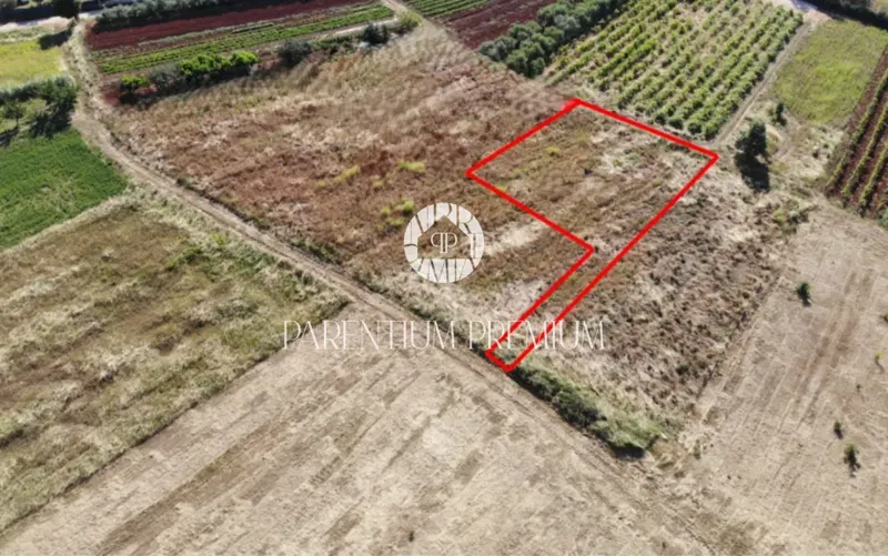 Terreno con vista mare e permesso di costruire - per costruire una villa – 2