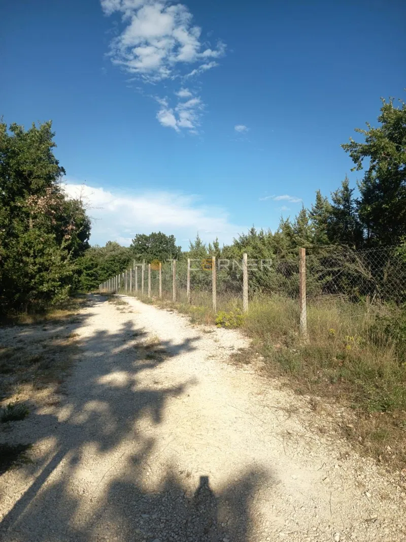 Privatno istarsko imanje od 27.300 m² – građevinska dozvola, aktivan OPG i projekt luksuzne vile – 2