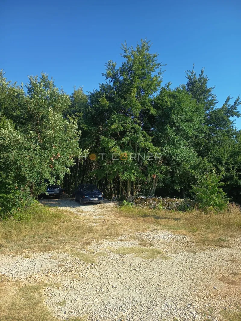Privatno istarsko imanje od 27.300 m² – građevinska dozvola, aktivan OPG i projekt luksuzne vile – 3