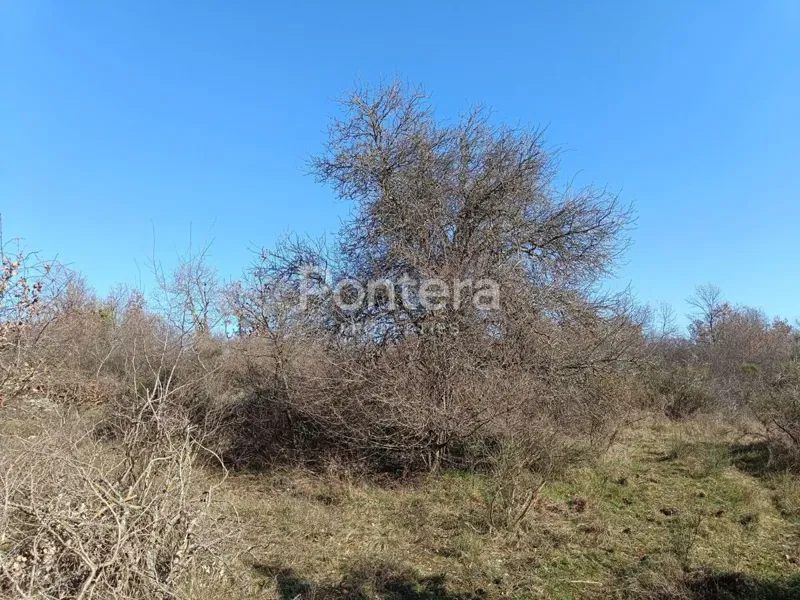 ISTRA, POREČ Attractive agricultural property with a sea view – 2