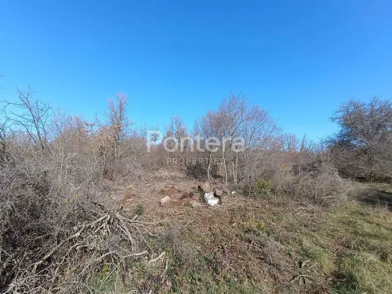 ISTRA, POREČ Attractive agricultural property with a sea view – 3
