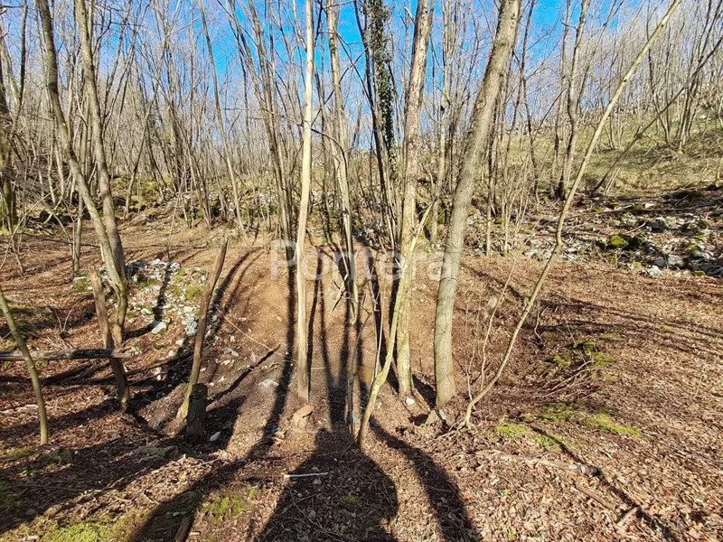 Föld Marčelji, Viškovo, 8.784m2 – 2