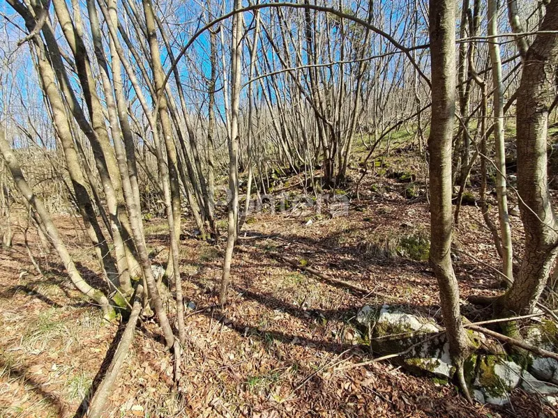 Föld Marčelji, Viškovo, 8.784m2 – 3