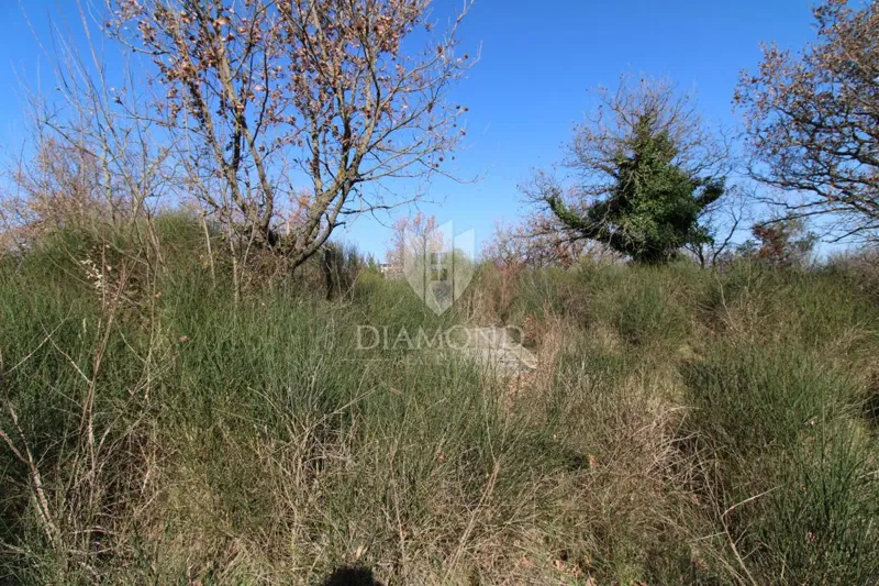 Vodnjan, spacious building land – 2