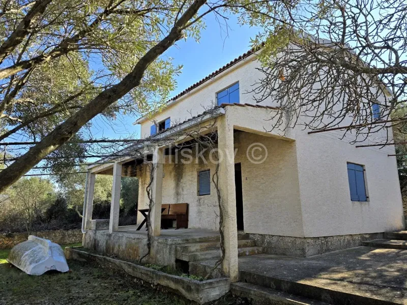 House Sevid – 2