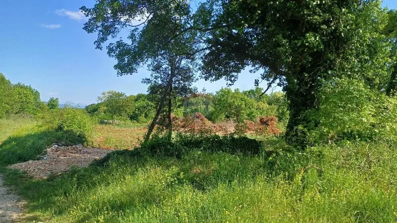 Terreno edificabile Belavići, Marčana, 1.085m2 – 2
